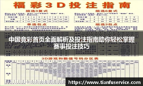 中国竟彩首页全面解析及投注指南助你轻松掌握赛事投注技巧