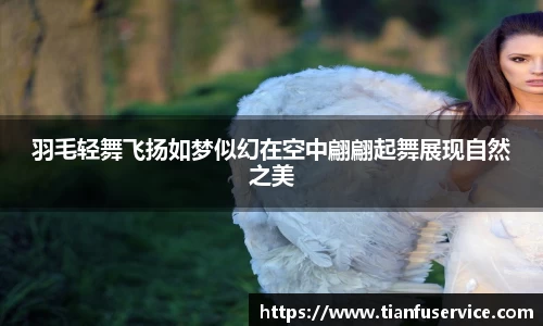 羽毛轻舞飞扬如梦似幻在空中翩翩起舞展现自然之美
